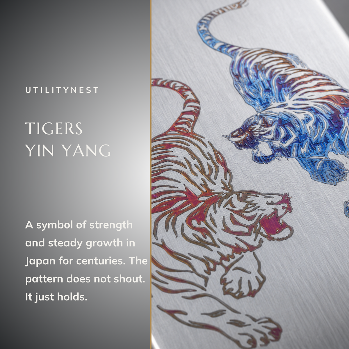 TIGER EQUINOX Yin Yang Twin Tigers design story